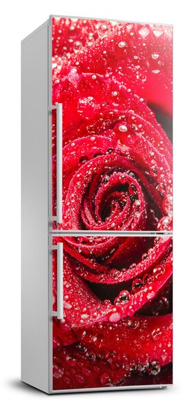 Nálepka fototapeta Červená růže FridgeStick-70x190-f-83790041