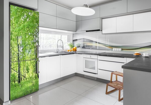 Nálepka fototapeta na ledničku Břízový les FridgeStick-70x190-f-84161730