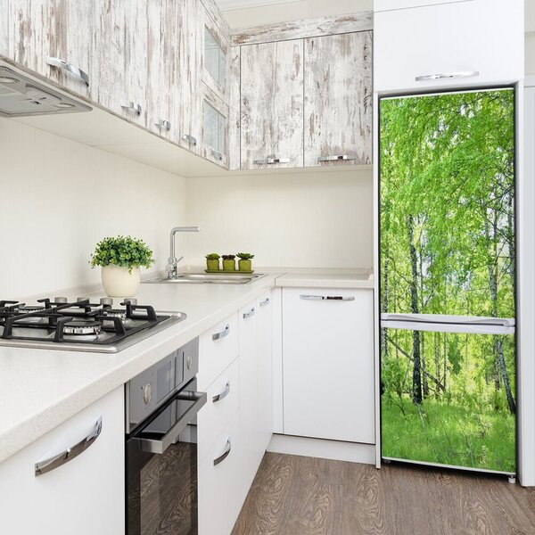 Nálepka fototapeta na ledničku Břízový les FridgeStick-70x190-f-84161730
