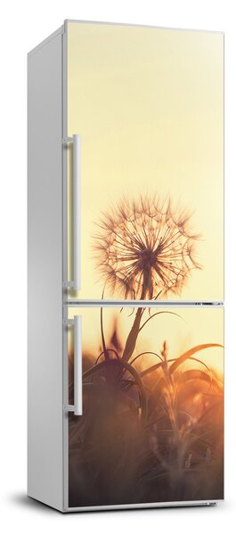 Samolepící nálepka fototapeta Pampeliška FridgeStick-70x190-f-85195523