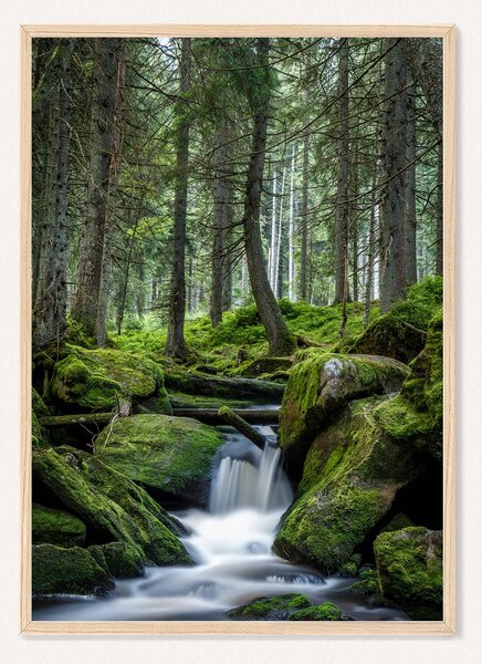Oboustranný plakát Lesní Vodopád / Lesní Lávka | 30 x 42 cm | DP351321
