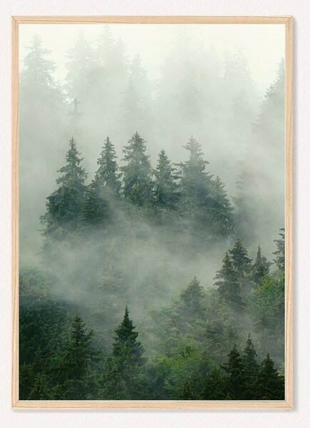 Oboustranný plakát Příroda | 30 x 42 cm | DP351463