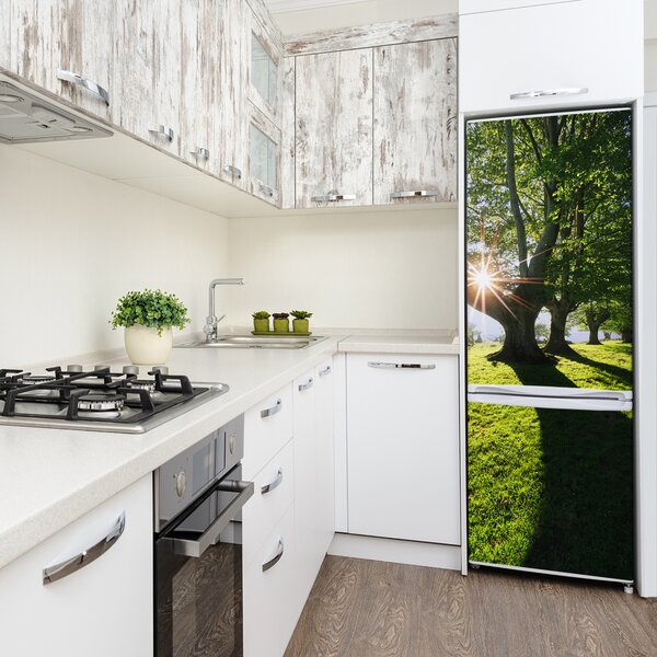 Nálepka tapeta na ledničku Příroda park FridgeStick-70x190-f-87151652