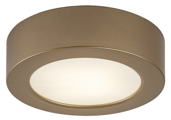Rabalux SHAUN PLUS LED venkovní stropní svítidlo 75077