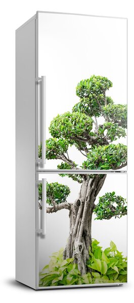 Nálepka fototapeta Bonsai FridgeStick-70x190-f-88907159
