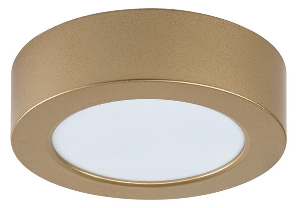 Rabalux SHAUN PLUS LED venkovní stropní svítidlo 75077
