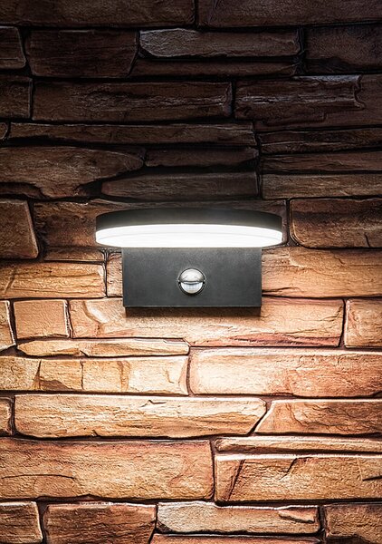 Rabalux BATIDA LED Venkovní nástěnné svítidlo se senzorem LED/9W/230V/CCT/IP54 černá