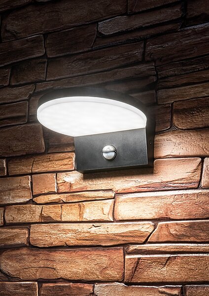 Rabalux BATIDA LED Venkovní nástěnné svítidlo se senzorem LED/9W/230V/CCT/IP54 černá