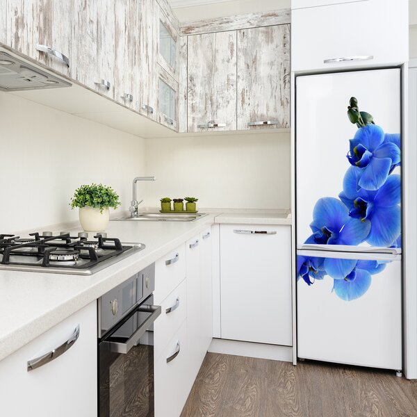 Nálepka fototapeta Modrá orchidej FridgeStick-70x190-f-91549599