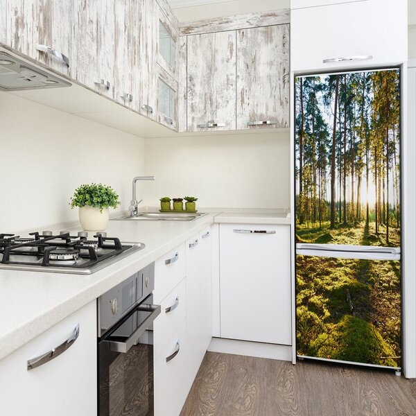 Nálepka fototapeta na ledničku Sosnový les FridgeStick-70x190-f-92027264
