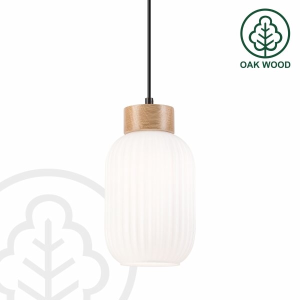 Lustr na lanku HARMONY 1xE27/15W/230V pr. 14 cm bílá/dub