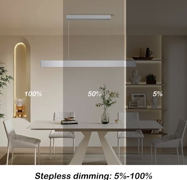 Brilagi - LED Stmív. lustr na lanku SLIMLINE LED/40W/230V 3000-6000K stříbrná+DO