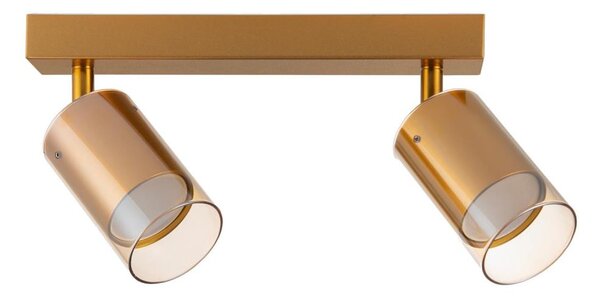 Zuma Line 2211BD-2-GLD - Bodové svítidlo REN 2xGU10/50W/230V zlatá