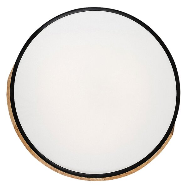 Rabalux MAPLE LED stropní svítidlo 3528