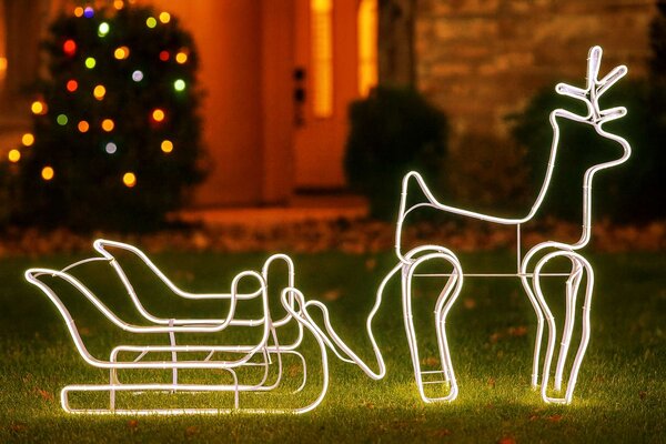 LED Vánoční dekorace Sob se saněmi – teplá bílá, LED Neon Flex, IP44
