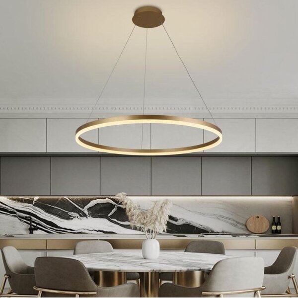Brilagi - LED Stmívatelný lustr na lanku CIRCLE LED/55W/230V 3000-6500K zlatá+DO