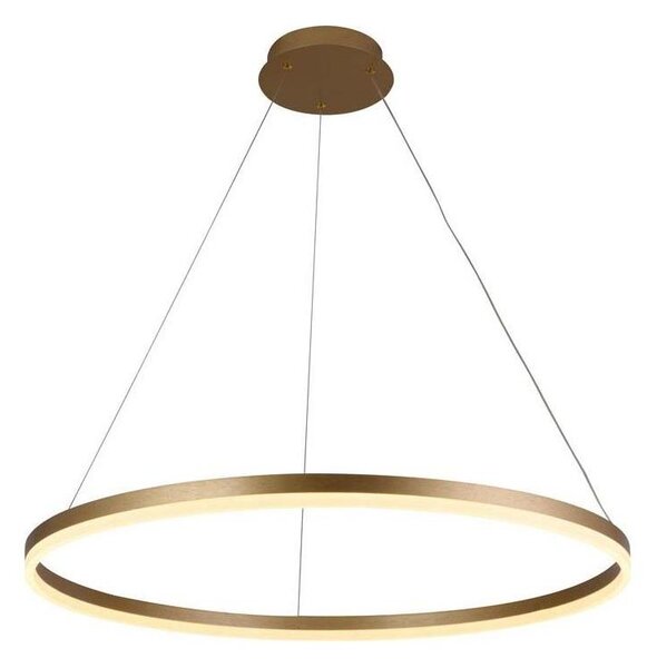 Brilagi - LED Stmívatelný lustr na lanku CIRCLE LED/55W/230V 3000-6500K zlatá+DO
