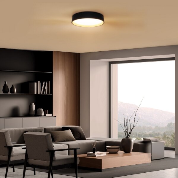 Solight WO8016 - LED Stm. strop. svítidlo LARIOS LED/48W/230V+DO pr.39 cm černá