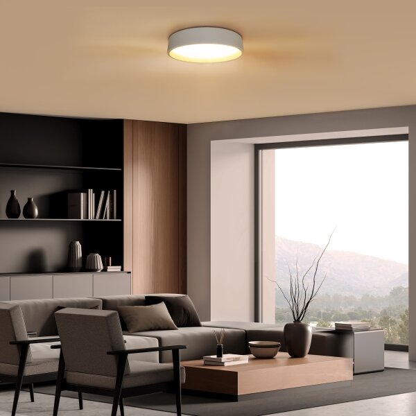 Solight WO8017 - LED Stm. strop. svítidlo LARIOS LED/48W/230V+DO pr.39 cm bílá