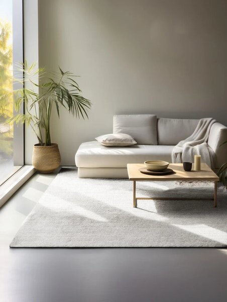 Hanse Home, Kusový koberec Jaipur 106325 White, 80x150, bílá, chodba / předsíň
