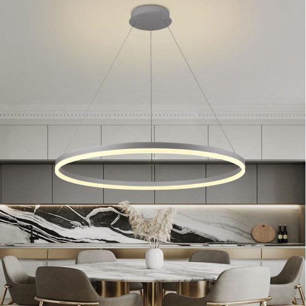 Brilagi -LED Stmívatelný lustr na lanku CIRCLE LED/55W/230V 3000-6500K stříb.+DO