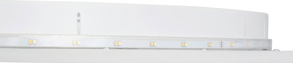 STROPNÍ LED SVÍTIDLO, 100/5,2 cm Novel - Stropní svítidla