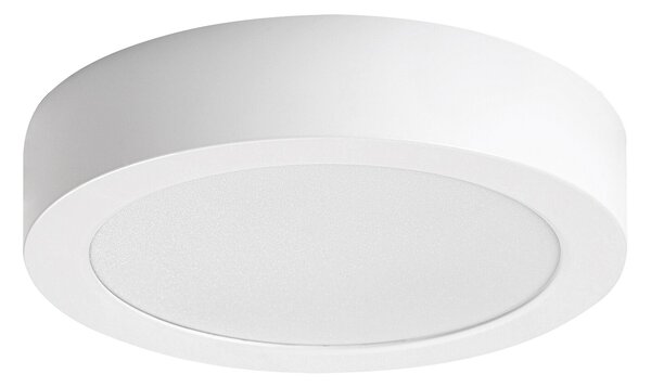 Rabalux SHAUN2 LED stropní svítidlo 71193