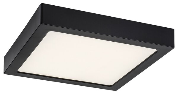 Rabalux SHAUN2 LED stropní svítidlo 71203