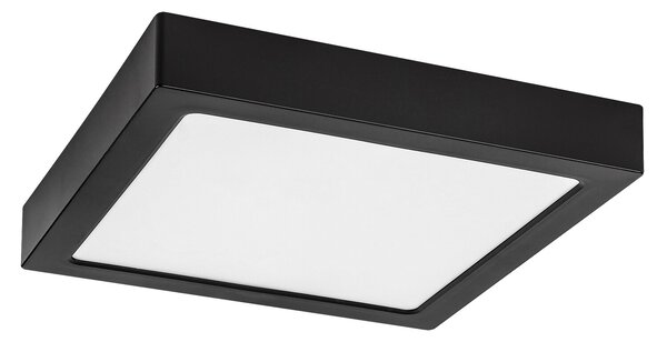 Rabalux SHAUN2 LED stropní svítidlo 71203