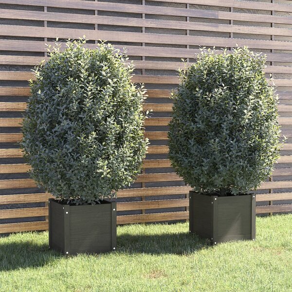 Zahradní truhlíky 2 ks šedé 40 x 40 x 40 cm masivní borovice