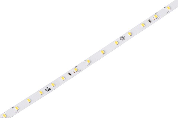 PALNAS 65007663 TEPLOTA LED: 4000 K