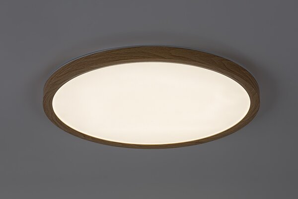 Rabalux LAUTREC LED venkovní stropní svítidlo 75085