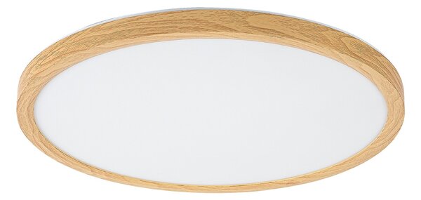 Rabalux LAUTREC LED venkovní stropní svítidlo 75085