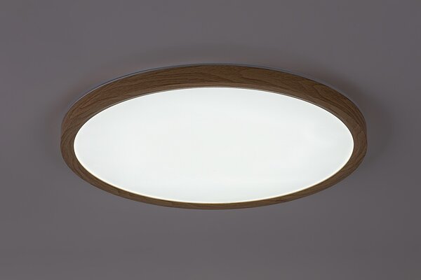 Rabalux LAUTREC LED venkovní stropní svítidlo 75085