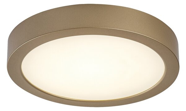 Rabalux SHAUN PLUS LED venkovní stropní svítidlo 75078