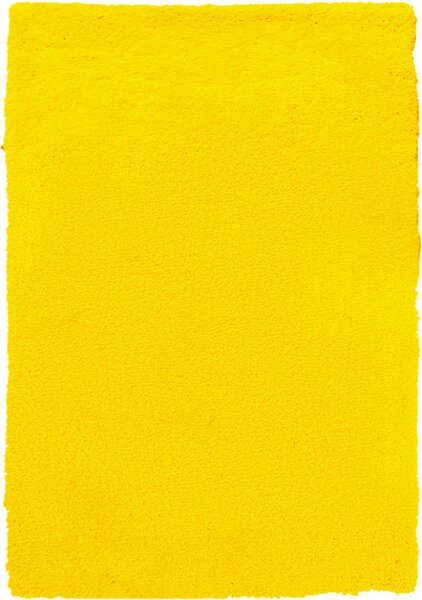 B-line Kusový koberec Spring Yellow - 120x170 cm