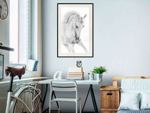 Plakát Bílý kůň