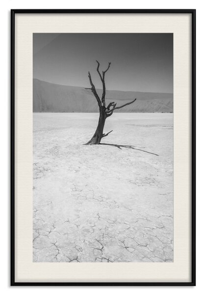 Plakát Strom na poušti