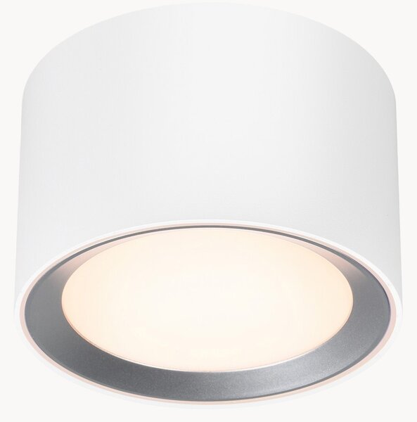 Stmívatelné stropní LED svítidlo Landon