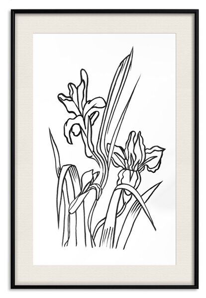 Plakát Zamilované kosatce - černobílá kompozice v lineárním provedení jarních květin