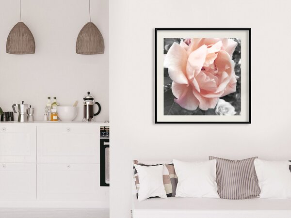 Plakát I love you - růžový květ růže na černobílém poli s rostlinami