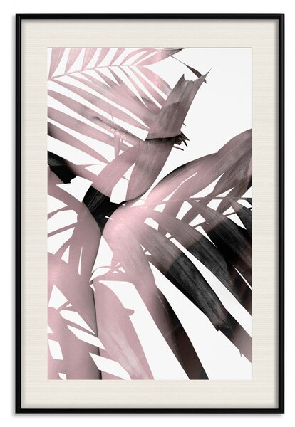 Plakát Smyslná Slova - hnědé listy palmy s jasným světlem a bílým pozadím