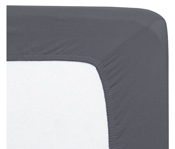 Florella Prostěradlo Avance Jersey 45 Schiefer Zvolte jeden rozměr prostěradla: 90-100x200 cm