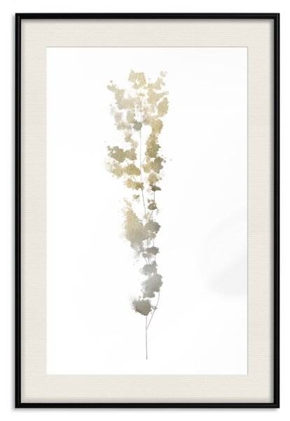 Plakát Zlatá větvička - zlatošedá rostlina na kontrastním bílém pozadí