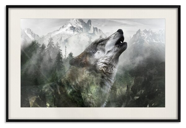 Plakát Vyjící vlk