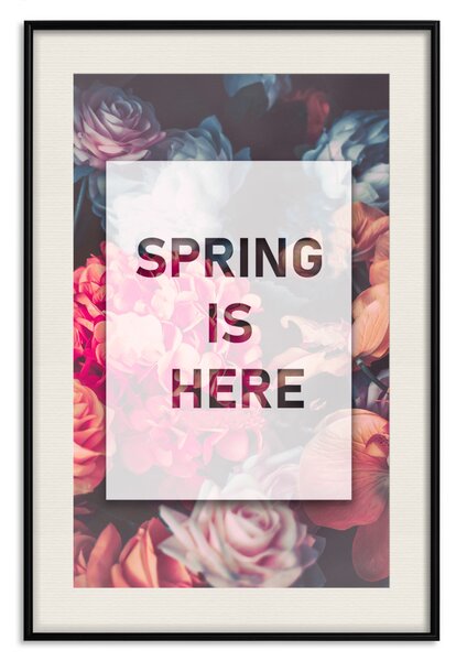 Plakát Spring Is Here - nápis v angličtině v bílém rámečku na pozadí květin