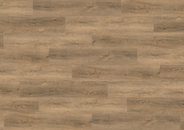 Vinylová podlaha KPP X-CELENT WOOD 62011 Dub Sophora