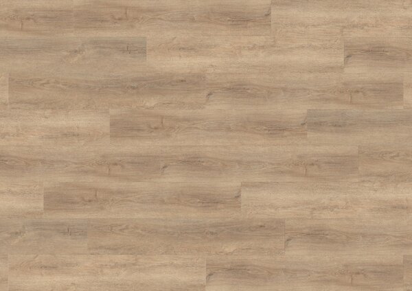Vinylová podlaha KPP X-CELENT WOOD 62012 Dub Genista
