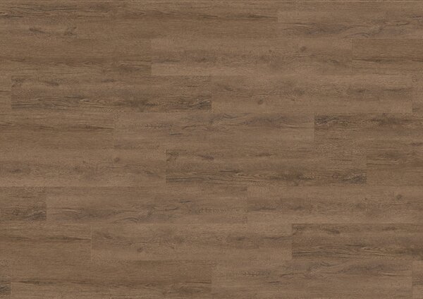 Vinylová podlaha KPP X-CELENT WOOD 62014 Dub Citus