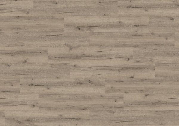 Vinylová podlaha KPP X-CELENT WOOD 62021 Dub Pistacia